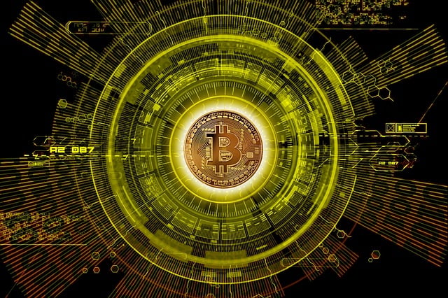 Initial Coin Offerings