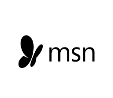 msn logo